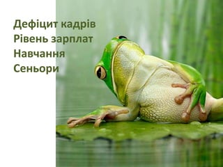 Дефіцит кадрів
Рівень зарплат
Навчання
Сеньори
 