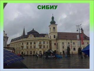 СИБИУ
 