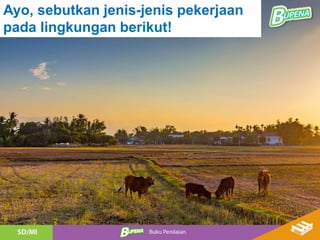 Ayo, sebutkan jenis-jenis pekerjaan
pada lingkungan berikut!
 