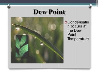 Dew Point
OCondensatio
n occurs at
the Dew
Point
Temperature
 