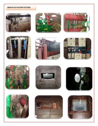 ABASYN ICE FACTORYPICTURES
 
