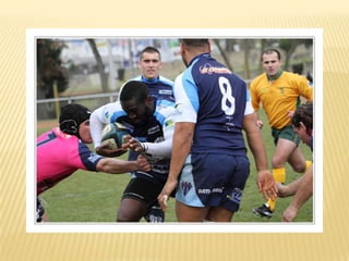 Raca puilboreau première