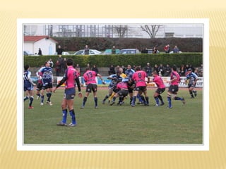 Raca puilboreau première