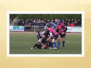 Raca puilboreau première