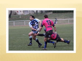 Raca puilboreau première