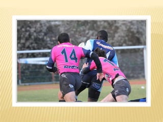 Raca puilboreau première