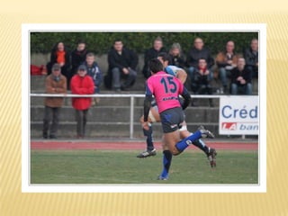 Raca puilboreau première