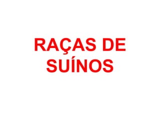 RAÇAS DE
SUÍNOS
 