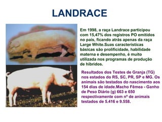 LANDRACE
Em 1998, a raça Landrace participou
com 15,47% dos registros PO emitidos
no país, ficando atrás apenas da raça
Large White.Suas características
básicas são prolificidade, habilidade
materna e desempenho, é muito
utilizada nos programas de produção
de híbridos.
Resultados dos Testes de Granja (TG)
nos estados do RS, SC, PR, SP e MG. Os
animais são testados do nascimento aos
154 dias de idade.Macho Fêmea - Ganho
de Peso Diário (g) 663 e 650
respectivamente com nº de animais
testados de 5.416 e 9.558.
 