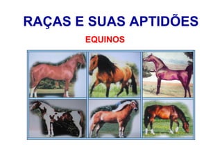 RAÇAS E SUAS APTIDÕES
EQUINOS
 