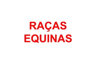 RAÇAS
EQUINAS
 