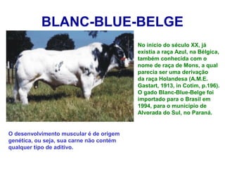 BLANC-BLUE-BELGE
No início do século XX, já
existia a raça Azul, na Bélgica,
também conhecida com o
nome de raça de Mons, a qual
parecia ser uma derivação
da raça Holandesa (A.M.E.
Gastart, 1913, in Cotim, p.196).
O gado Blanc-Blue-Belge foi
importado para o Brasil em
1994, para o município de
Alvorada do Sul, no Paraná.
O desenvolvimento muscular é de origem
genética, ou seja, sua carne não contém
qualquer tipo de aditivo.
 