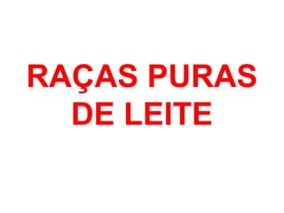 RAÇAS PURAS
DE LEITE
 