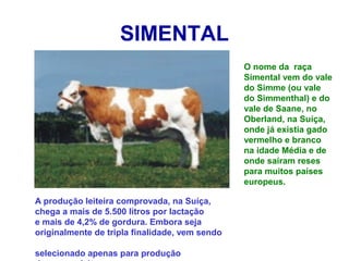 SIMENTAL
O nome da raça
Simental vem do vale
do Simme (ou vale
do Simmenthal) e do
vale de Saane, no
Oberland, na Suíça,
onde já existia gado
vermelho e branco
na idade Média e de
onde saíram reses
para muitos países
europeus.
A produção leiteira comprovada, na Suíça,
chega a mais de 5.500 litros por lactação
e mais de 4,2% de gordura. Embora seja
originalmente de tripla finalidade, vem sendo
selecionado apenas para produção
 