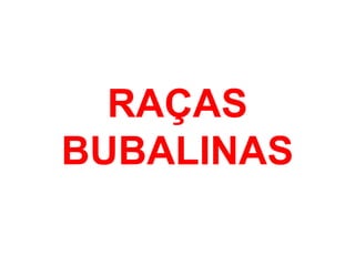 RAÇAS
BUBALINAS
 