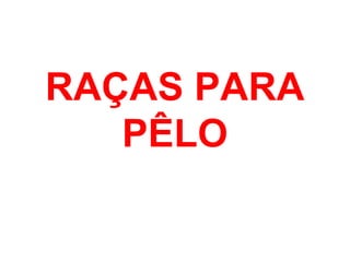 RAÇAS PARA
PÊLO
 