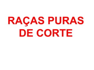 RAÇAS PURAS
DE CORTE
 