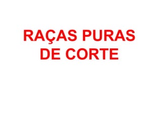 RAÇAS PURAS
DE CORTE
 