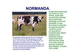 NORMANDA
O gado Normando pode
ser mocho ou com
chifres, sendo esta
característica herdada
dos cruzamentos
realizados no final do
séculoXIX. A vaca
Normanda era descrita
da seguinte maneira:
“primeiro, ela dá
em abundância
excelente leite, depois
engorda muito
facilmente mesmo
dando muito leite,
enfim faz boa morte
com muita carne de
primeira qualidade”
(Paul Messier, in Cotim,
1913, p.208).
A produção leiteira apresenta uma média de
6.170 litros com 4,18% de gordura, em 305
dias, com recordes acima de 8.500 litros. É a
principal raça leiteira francesa é a raça
campeã de índice protêico no leite (3,39%), na
França. Embora boas produtoras de leite rico,
as vacas somente produzem bem
quando bem alimentadas.
 
