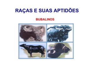 RAÇAS E SUAS APTIDÕES
BUBALINOS
 