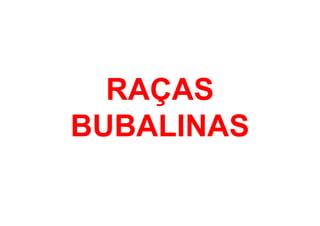 RAÇAS
BUBALINAS
 