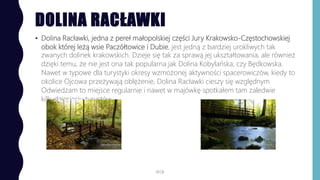 DOLINA RACŁAWKI
• Dolina Racławki, jedna z pereł małopolskiej części Jury Krakowsko-Częstochowskiej
obok której leżą wsie Paczółtowice i Dubie, jest jedną z bardziej urokliwych tak
zwanych dolinek krakowskich. Dzieje się tak za sprawą jej ukształtowania, ale również
dzięki temu, że nie jest ona tak popularna jak Dolina Kobylańska, czy Będkowska.
Nawet w typowe dla turystyki okresy wzmożonej aktywności spacerowiczów, kiedy to
okolice Ojcowa przeżywają oblężenie, Dolina Racławki cieszy się względnym
Odwiedzam to miejsce regularnie i nawet w majówkę spotkałem tam zaledwie
kilkudziesięciu turystów.
WSB
 
