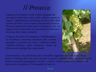 Il Prosecco
Adagiata in un’ampia e verde vallata, disegnata dal
susseguirsi ininterrotto e dolce delle colline ricoperte da
vigneti, Valdobbiadene è delimitata ai suoi confini dallo
scorrere del Piave, ed è la terra d’elezione del Prosecco.
Nel suo comprensorio tutto odora e profuma di vino, nel
segno di una civiltà della vite che interessa l’ambiente e
la cultura di un’intera comunità.
Il famoso Prosecco di Conegliano-Valdobbiadene è
un vino bianco conosciuto soprattutto nella versione
spumante: si presenta con colori e sfumature giallo
verdolino brillante, molto trasparente, buono ed
effervescente, perlage fine e persistente.


Una terra antica, ricca di fascino, dove è possibile soggiornare in hotel come l’Hotel
Diana e l’Albergo alla Torre, che si trovano in piazza a Valdobbiadene, percorrere a piedi
itinerari inconsueti, passeggiare a cavallo o visitare i molti e caratteristici artigiani che
ripercorrono le tradizioni e la manualità dei loro avi.
                                             Home
 