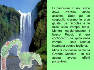 Li condusse in un bosco dove c’erano alberi altissimi. Sotto ad un cespuglio c’erano le erbe giuste. Le raccolse e le mise sulla zampa ferita. Mentre raggiungevano il bosco Puccio si era conficcato una spina nella zampa : solo l’acqua incantata poteva toglierla. Mina li condusse verso la Grande Cascata , la cui acqua aveva effetti portentosi. 