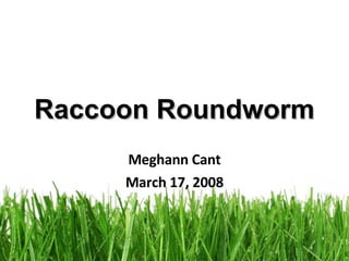 Raccoon Roundworm Meghann Cant March 17, 2008 