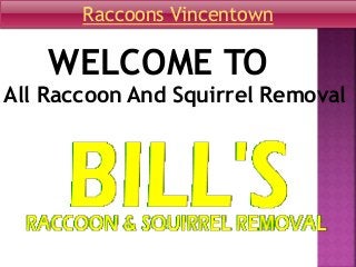 WELCOME TO
All Raccoon And Squirrel Removal
Raccoons Vincentown
 