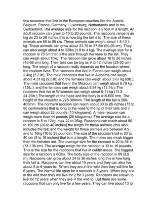 Raccoon report for micheal Boglino | PDF
