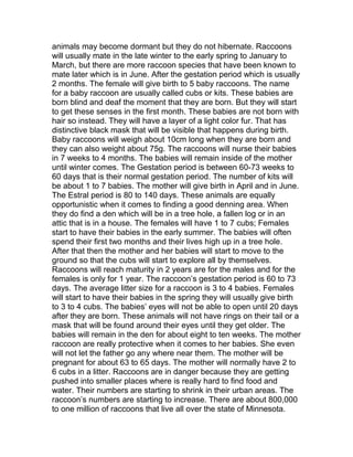 Report Raccoon Raccoon report for micheal Boglino | DOC