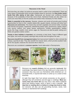 Raccoons and Rabies | PDF | Free Download