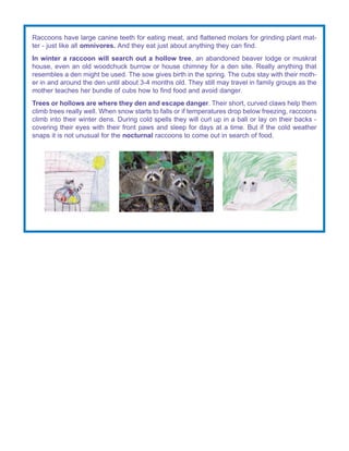 Raccoons and Rabies | PDF | Free Download