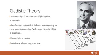 Cladistic Theory
o Willi Hennig (1950): Founder of phylogentic
systematics
oclassification system that defines taxa according to
their common ancestor. Evolutionary relationships
of organisms
oMonophyletic groups
oEvolutionary branching structure
 