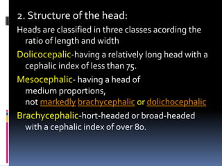 Dolichocephalic Races Race.pptxbhshshdhdhdhdhdbdjsvsjsbsksvsjshshs | PPTX