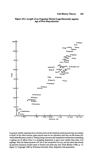 Life-History Theory 201
Figure 10.1: Length of an Organism Plotted Logarithmically Against
Age of First Reproduction
100M
10M
• Sequoia
• Fir
• Kelp * • Birch
• Balsam
• Dogwood
1M
• Elephant
• E lk *Rhino
• Bear • Man
Deer
• Snake
Fox * Beaver
10cm
Lemming •
Mouse •
A Rat
• Salamander e Horseshoe crab
• Crab
Starfish
Snail •
e e Turtle
• Newt
• Frog
•Cham eleon
Oyster
lcm
• Bee • Horse fly
• Housefly • CUm
• Drosophila
1mm
• Daphnia
• Stentor
• Paramecium
100M • D idinium
-Tetrahym ena
•E uglena
• Spirochaeta
10U
E. Coli
* • Pseudomonas
B. aureus|
1 Hour 1 Day 1 Week 1 M onth 1 Year
Generation time
10 Years 100 Years
In general, smaller organisms have a shorter period of development, partly because they are simpler
to build. At the other extreme, giant sequoia trees do not reproduce until they are 80 meters tall,
which takes 60 years to achieve. Putting energy resources into reproductive structures is something
a sapling can ill afford when it is struggling desperately to grow more rapidly than other rival
saplings. Only the fastest growers will win in the competition for sun, and any plant that diverts
its precious resources toward cones or flowers and seeds may lose. From Bonner (1965, p. 17,
Figure 1). Copyright 1965 by Princeton University Press. Reprinted with permission.
 