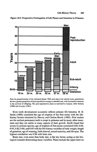 Figure 10.3: Progressive Prolongation of Life Phases and Gestation in Primates
Life-History Theory 205
Post
reproduction
Adult
Sub-adult
Infancy
Gestation
Note the proportionality of the indicated phases. With each step in the natural scale, populations
devote a greater proportion of their reproductive energy to subadult care, with increased investment
in the survival of offspring. The post-reproductive phase is restricted to humans. After Schultz
(1960) and Lovejoy (1981).
18 w. 24 w. 30 w. 33 w. 37 w. 38 w.
Even tooth development accurately reflects primate life histories. B. H.
Smith (1989) correlated the age of eruption of the first molar with the life-
history factors tabulated by Harvey and Clutton-Brock (1985). First molars
are the earliest permanent teeth to erupt in primates and in many other mam­
mals and they are stable in many aspects of their growth. Smith found that
across 21 primate species, age of eruption of first molar correlated 0.89, 0.85,
0.93,0.82,0.86, and 0.85 with the life-history variables of body weight, length
of gestation, age of weaning, birth interval, sexual maturity, and life span. The
highest correlation was 0.98 with brain size.
Brain size, even more than body size, is the key factor, acting as the bio­
logical constant determining many variables. These include the upper limit on
 