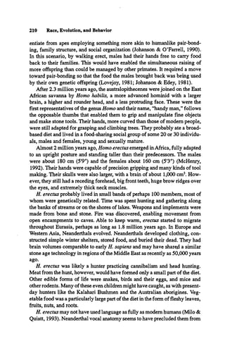 210 Race, Evolution, and Behavior
entiate from apes employing something more akin to humanlike pair-bond­
ing, family structure, and social organization (Johanson & O’Farrell, 1990).
In this scenario, by walking erect, males had their hands free to carry food
back to their families. This would have enabled the simultaneous raising of
more offspring than could be managed by other primates. It required a move
toward pair-bonding so that the food the males brought back was being used
by their own genetic offspring (Lovejoy, 1981; Johanson & Edey, 1981).
After 2.3 million years ago, the australopithecenes were joined on the East
African savanna by Homo habilis, a more advanced hominid with a larger
brain, a higher and rounder head, and a less protruding face. These were the
first representatives of the genus Homo and their name, “handy man,” follows
the opposable thumbs that enabled them to grip and manipulate fine objects
and make stone tools. Their hands, more curved than those of modem people,
were still adapted for grasping and climbing trees. They probably ate a broad-
based diet and lived in a food-sharing social group of some 20 or 30 individu­
als, males and females, young and sexually mature.
Almost 2 million years ago, Homo erectus emerged in Africa, fully adapted
to an upright posture and standing taller than their predecessors. The males
were about 180 cm (5'9") and the females about 160 cm (5'3") (McHenry,
1992). Their hands were capable of precision gripping and many kinds of tool
making. Their skulls were also larger, with a brain of about 1,000 cm3. How­
ever, they still had a receding forehead, big front teeth, huge brow ridges over
the eyes, and extremely thick neck muscles.
H. erectus probably lived in small bands of perhaps 100 members, most of
whom were genetically related. Time was spent hunting and gathering along
the banks of streams or on the shores of lakes. Weapons and implements were
made from bone and stone. Fire was discovered, enabling movement from
open encampments to caves. Able to keep warm, erectus started to migrate
throughout Eurasia, perhaps as long as 1.8 million years ago. In Europe and
Western Asia, Neanderthals evolved. Neanderthals developed clothing, con­
structed simple winter shelters, stored food, and buried their dead. They had
brain volumes comparable to early H. sapiens and may have shared a similar
stone age technology in regions of the Middle East as recently as 50,000 years
ago.
H. erectus was likely a hunter practicing cannibalism and head hunting.
Meat from the hunt, however, would have formed only a small part of the diet.
Other edible forms of life were snakes, birds and their eggs, and mice and
other rodents. Many of these even children might have caught, as with present-
day hunters like the Kalahari Bushmen and the Australian aborigines. Veg­
etable food was a particularly large part of the diet in the form of fleshy leaves,
fruits, nuts, and roots.
H. erectus may not have used language as fully as modem humans (Milo &
Quiatt, 1993). Neanderthal vocal anatomy seems to have precluded them from
 