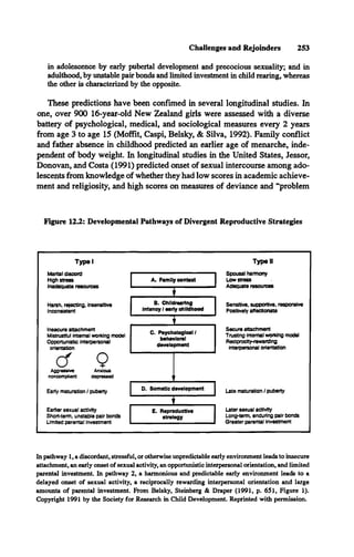 Challenges and Rejoinders 253
in adolescence by early pubertal development and precocious sexuality; and in
adulthood, by unstable pair bonds and limited investment in child rearing, whereas
the other is characterized by the opposite.
These predictions have been confimed in several longitudinal studies. In
one, over 900 16-year-old New Zealand girls were assessed with a diverse
battery of psychological, medical, and sociological measures every 2 years
from age 3 to age 15 (Moffit, Caspi, Belsky, & Silva, 1992). Family conflict
and father absence in childhood predicted an earlier age of menarche, inde­
pendent of body weight. In longitudinal studies in the United States, lessor,
Donovan, and Costa (1991) predicted onset of sexual intercourse among ado­
lescents from knowledge of whether they had low scores in academic achieve­
ment and religiosity, and high scores on measures of deviance and “problem
Figure 12.2: Developmental Pathways of Divergent Reproductive Strategies
Typel
Marital discord
High stress
Inadequate resources
A. Family context
Harsh, rejecting, insensitive
Inconsistent
♦
B. Childrearing
Infancy / early childhood
'I ~
Type I
I
Spousal harmony
Low stress
Adequate resources
Sensitive, supportive, responsive
Positively affectionate
Insecure attachment
Mistrustful internal working model
Opportunistic interpersonal
orientation
cf 9
Aggressive Anxious
noncompUant depressed
Early maturation / puberty
Earlier sexual activity
Short-term, unstable pair bonds
Limited parental investment
C. Psychological/
behavioral
development
Late maturation / puberty
Later sexual activity
Long-term, enduring pair bonds
Greater parental investment
Secure attachment
Trusting internal working model
Reciprocity-rewarding
interpersonal orientation
In pathway 1, a discordant, stressful, or otherwise unpredictable early environment leads to insecure
attachment, an early onset of sexual activity, an opportunistic interpersonal orientation, and limited
parental investment. In pathway 2, a harmonious and predictable early environment leads to a
delayed onset of sexual activity, a reciprocally rewarding interpersonal orientation and large
amounts of parental investment. From Belsky, Steinberg & Draper (1991, p. 651, Figure 1).
Copyright 1991 by the Society for Research in Child Development. Reprinted with permission.
 
