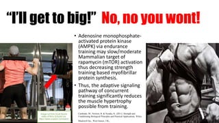 “I’ll get to big!” No, no you wont!
• Adenosine monophosphate-
activated protein kinase
(AMPK) via endurance
training may slow/moderate
Mammalian target of
rapamycin (mTOR) activation
thus decreasing strength
training based myofibrillar
protein synthesis.
• Thus, the adaptive signaling
pathway of concurrent
training significantly reduces
the muscle hypertrophy
possible from training.
Cardinale, M., Newton, R. & Nosaka, K. (2011). Strength and
Conditioning Biological Principles and Practical Applications. Wiley-
Blackwell Inc., West Sussex, UK.
 