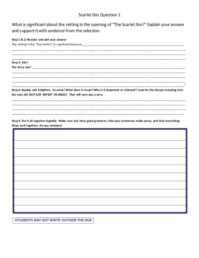 Scarlet Ibis Essay Essay On Scarlet Letter Cover Letter Template For Scarlet Ibis Essay Essay On Scarlet Letter Cover Letter Template For