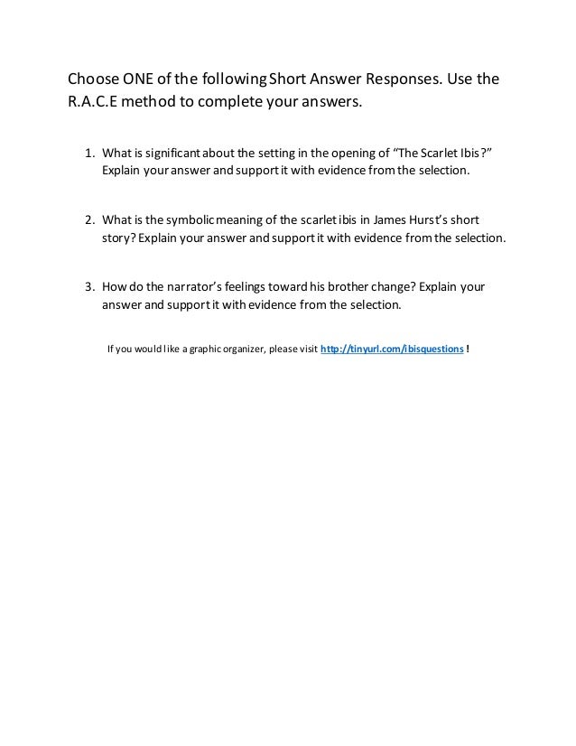 scarlet letter essay questions