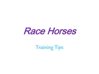 Race Horses
Training Tips
 