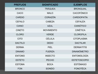 PREFIJOS   SIGNIFICADO    EJEMPLOS
BRONCO      TRÁQUEA       BRONQUIAL
 CACO         MALO       CACOFÓNICO
 CARDIO     CORAZÓN      CARDIOPATÍA
 CEFALO      CABEZA        CEFALÉA
 CIANO        AZUL        CIANÓTICO
 CINETO    MOVIMIENTO      CINÉTICA
 CLORO       VERDE        CLOROFILA
  CITO       CÉLULA       CITOPLASMA
DACTILO       DEDO         DACTILAR
 DERMA        PIEL        DERMATITIS
 DINAMO      FUERZA      DINAMÓMETRO
ENTOMO       INSECTO     ENTOMOLOGÍA
 ESTETO      PECHO       ESTETOSCOPIO
ESTOMA        BOCA        ESTÓMAGO
  FON        SONIDO       FONOTÉCA
 