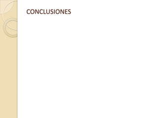 CONCLUSIONES
