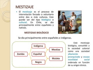 MESTIZAJEMESTIZAJE CULTURAL	Se refiere a la interacción de rasgos culturales de ambos continentes.Por ejemplo:Productos introducidos a América: Caballos, Ganado, vid, olivos, cereales y legumbres.Productos introducidos a Europa: Maíz, cacao, tomate y papas.Papel de las mujeres en la cultura mestiza.Arte.Vocabulario.Costumbres.