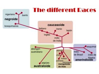 Races in asia(1) | PPTX