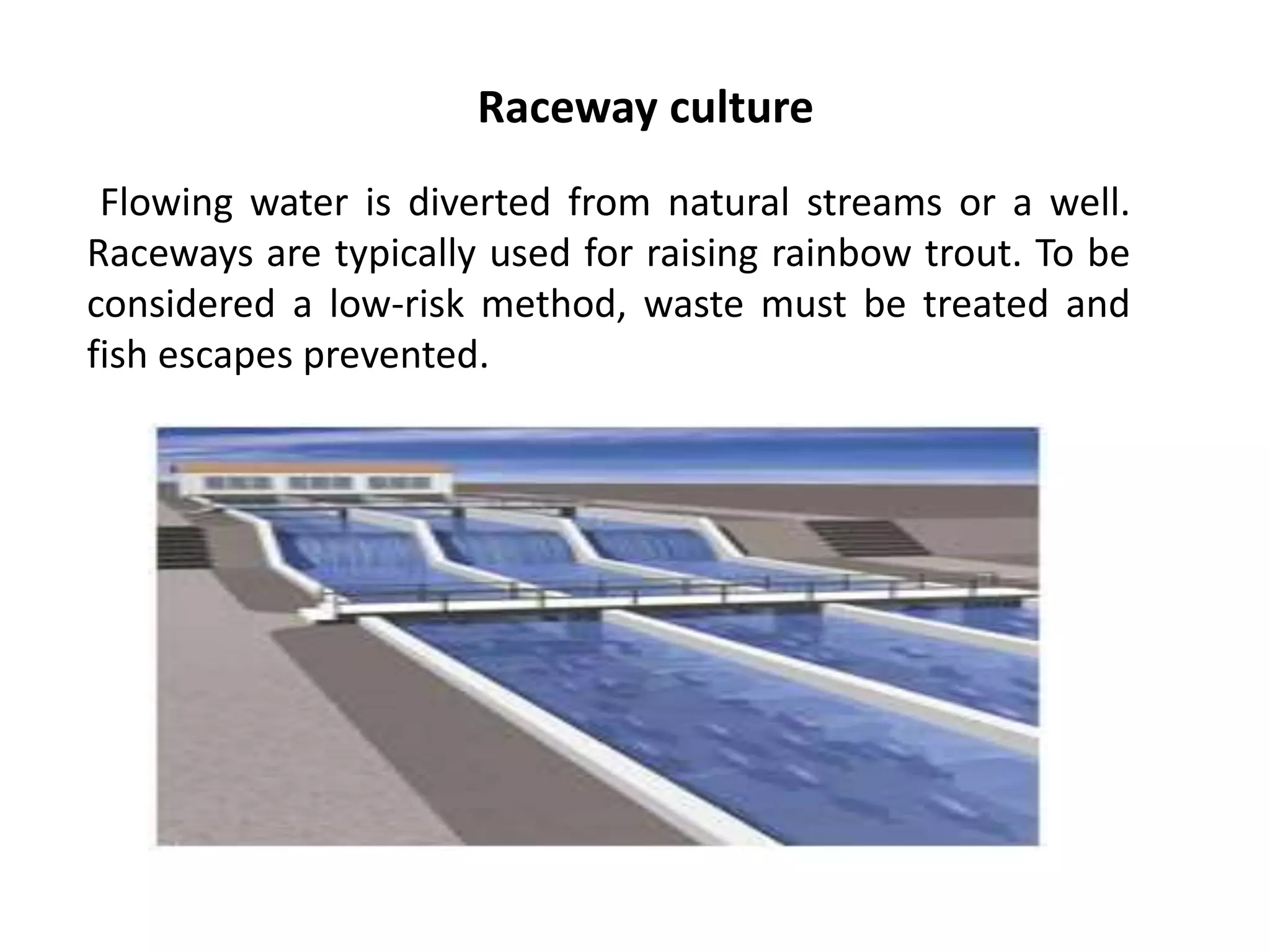 Raceway aquaculture | PPTX