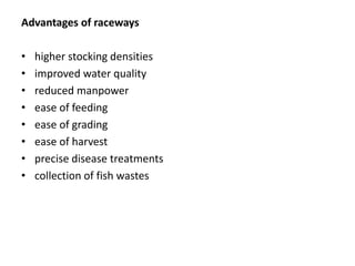 Advantages of raceways
• higher stocking densities
• improved water quality
• reduced manpower
• ease of feeding
• ease of grading
• ease of harvest
• precise disease treatments
• collection of fish wastes
 